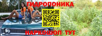 марихуана Кимры