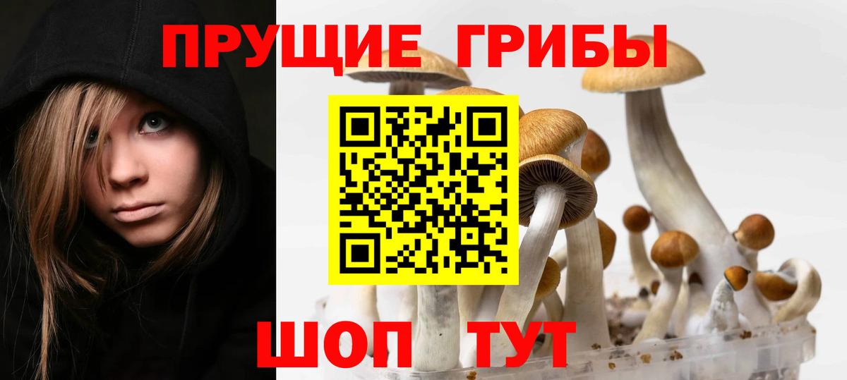 Псилоцибиновые грибы MAGIC MUSHROOMS Ухта