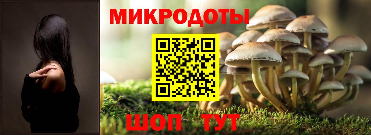 Ухта  Галлюциногенные грибы Magic Shrooms  даркнет сайт  Вход с VPN 