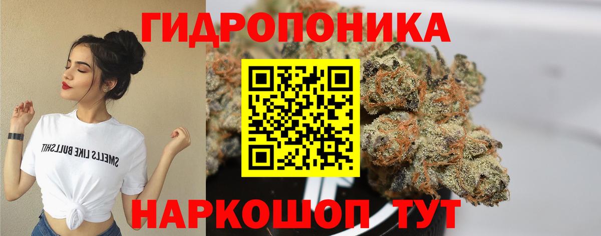 Каннабис Amnesia Ухта